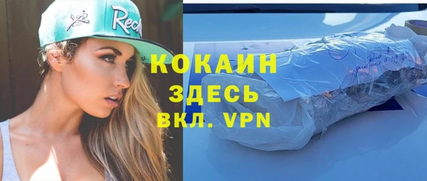 гидра Вязники