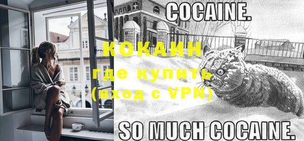 гидра Вязники