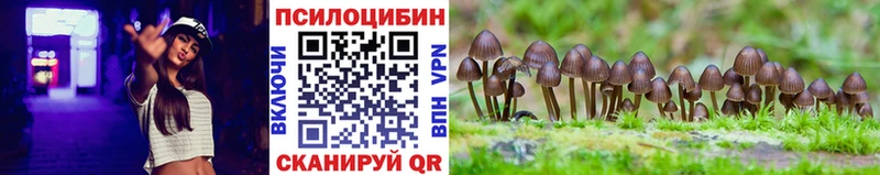 Галлюциногенные грибы Psilocybe  закладки  Осинники 